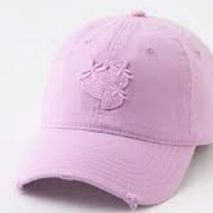 Aerie Womens Lavender Embroidered Strawberry Factory Distressed Bill Cap